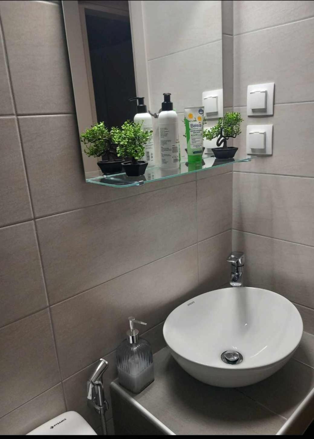 Irene Apartment 알렉산드로폴리스 외부 사진