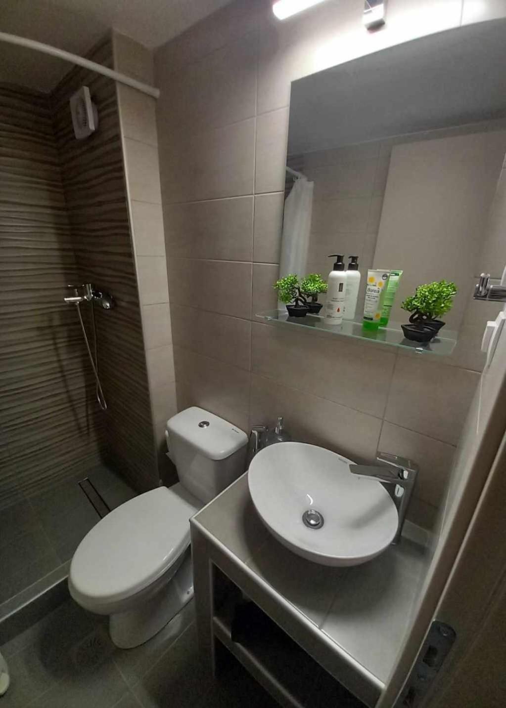 Irene Apartment 알렉산드로폴리스 외부 사진